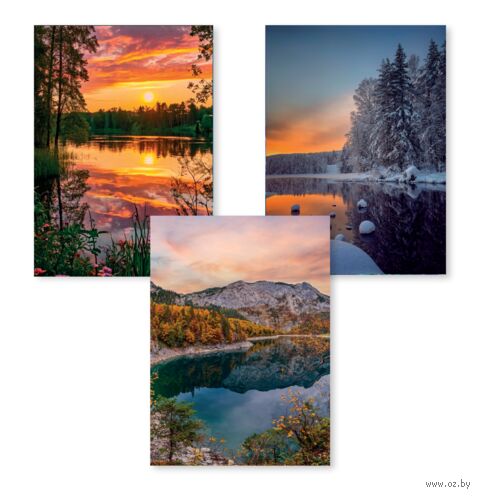 Набор карманных календарей на 2026 год "Красота природы" (10х7 см; 3 шт.) — фото, картинка
