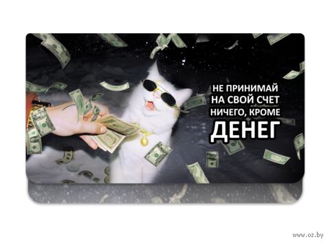 Конверт для денег "Не принимай на свой счет ничего кроме денег" — фото, картинка
