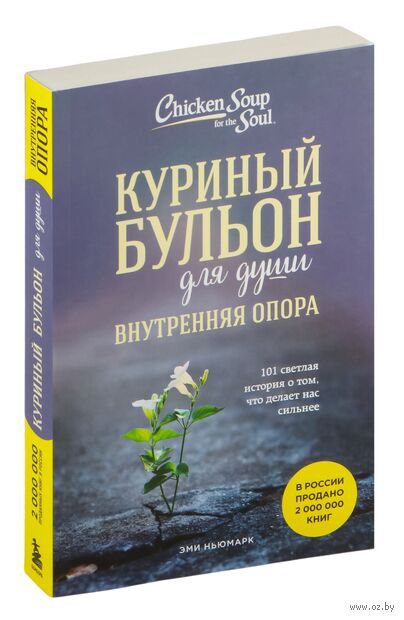 Куриный бульон для души. Внутренняя опора. 101 светлая история о том, что делает нас сильнее — фото, картинка