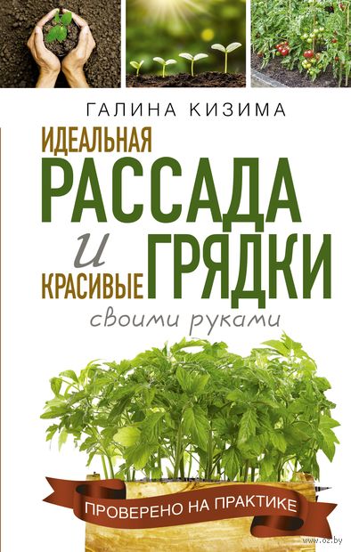 Идеальная рассада и красивые грядки своими руками — фото, картинка
