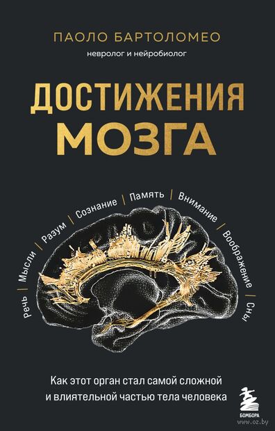 Достижения мозга. Как этот орган стал самой сложной и влиятельной частью тела человека — фото, картинка