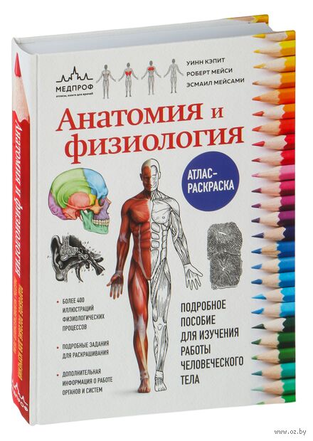 Анатомия и физиология. Атлас-раскраска — фото, картинка