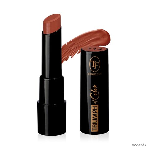 Помада для губ "Triumph Of Color" тон: 714, розовый нюд — фото, картинка