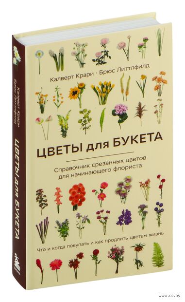 Цветы для букета. Справочник срезанных цветов для начинающего флориста — фото, картинка