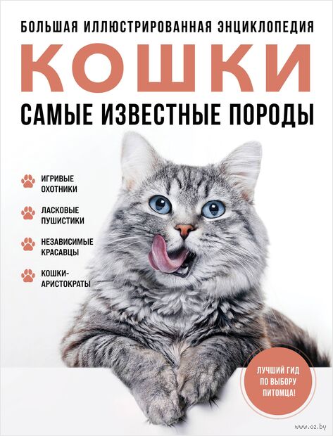 Кошки. Самые известные породы — фото, картинка