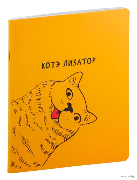 Тетрадь полуобщая в клетку "Приколись!" (48 листов) — фото, картинка