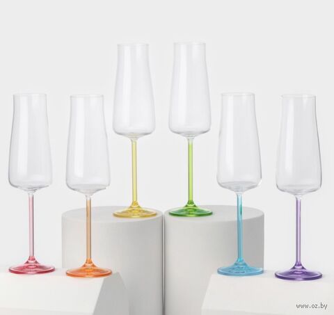 Набор бокалов для шампанского "Rainbow" (6 шт.; 210 мл) — фото, картинка
