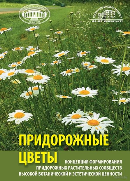 Концепция формирования устойчивых придорожных растительных сообществ высокой ботанической и эстетической ценности — фото, картинка
