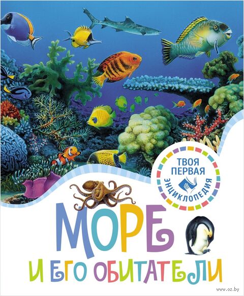 Море и его обитатели — фото, картинка