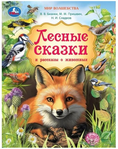 Лесные сказки и рассказы о животных — фото, картинка