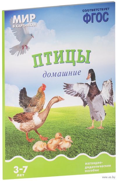 Птицы домашние. Наглядно-дидактическое пособие. Для детей 3-7 лет — фото, картинка