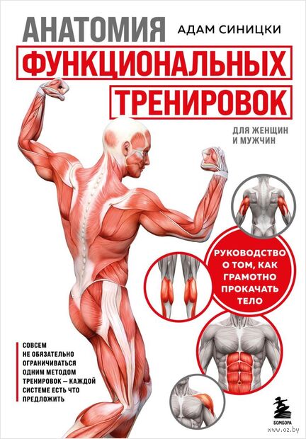 Анатомия функциональных тренировок. Руководство о том, как грамотно прокачать тело — фото, картинка
