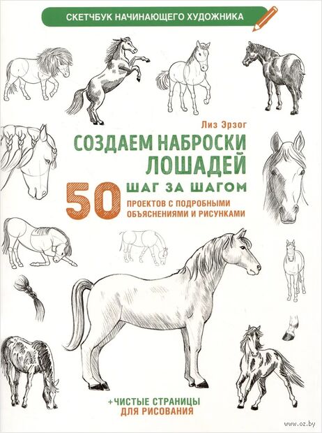 Создаем наброски лошадей шаг за шагом. 50 проектов с подробными объяснениями — фото, картинка